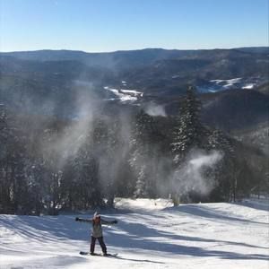 Meet your Posher, Reid